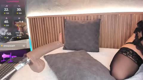 IBBIE online show from 26, 2, 2026