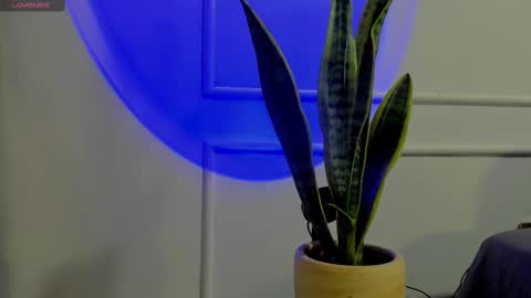 Crystall online show from 2, 10, 2025