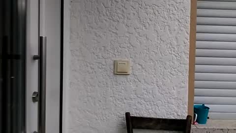 Snapshot of icheinfachich13 chatting on 21, 10, 2025 icheinfachich13 online show from 21, 10, 2025