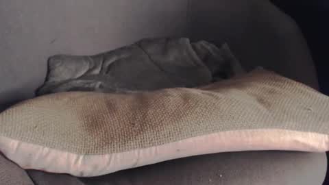 MR Marathon online show from 25, 10, 2025