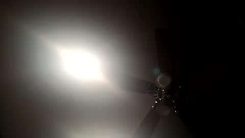 illrububuallday24 online show from 10, 11, 2025