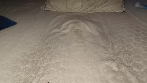 Snapshot of ilona4u chatting on 23, 3, 2026 ilona4u online show from 23, 3, 2026