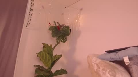 Snapshot of im__kaia chatting on 9, 1, 2026 Kaia online show from 9, 1, 2026