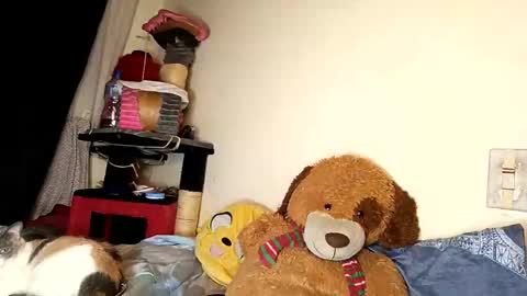 Snapshot of im_dereck_martinez_69 chatting on 11, 10, 2025 im_dereck_martinez_69 online show from 11, 10, 2025