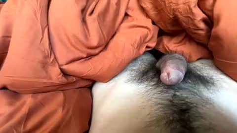 imakeucumonmyface online show from 25, 2, 2026