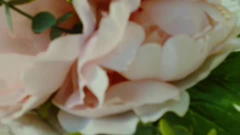 Carrie online show from 1, 3, 2025