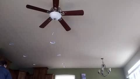 Snapshot of iminyourroom chatting on 31, 1, 2025 Iminyourroom online show from 31, 1, 2025