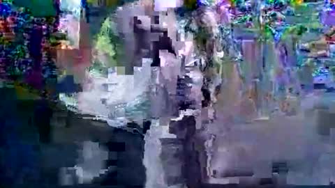 Snapshot of in201943 chatting on 6, 3, 2026 in201943 online show from 6, 3, 2026