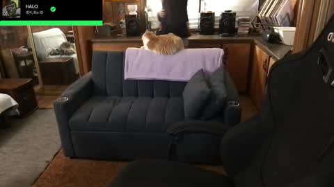 Snapshot of incognitoqueen chatting on 5, 2, 2026 Carter online show from 5, 2, 2026