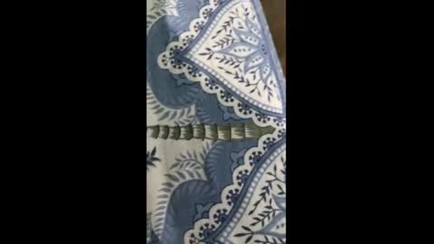 Snapshot of indian_desi4720 chatting on 30, 3, 2026 Indian desi6969 online show from 30, 3, 2026