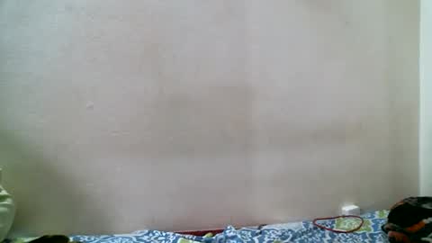 Snapshot of indianmani chatting on 15, 9, 2025 Big Thick Cocks online show from 15, 9, 2025