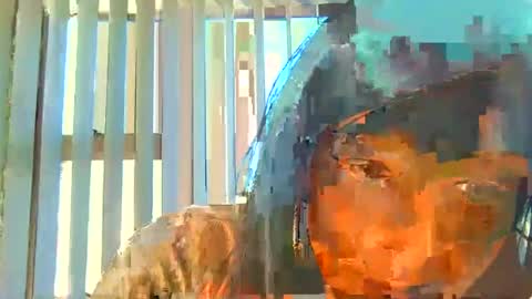 rani online show from 6, 7, 2026