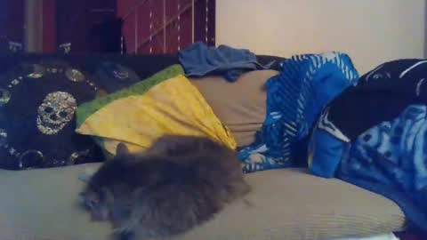 Snapshot of indigo_scorpio chatting on 30, 1, 2025 indigo_scorpio online show from 30, 1, 2025