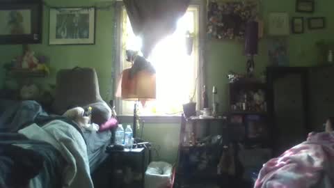 Snapshot of indigo_scorpio chatting on 5, 2, 2025 indigo_scorpio online show from 5, 2, 2025