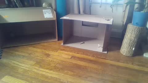 Snapshot of indigo_scorpio chatting on 7, 2, 2025 indigo_scorpio online show from 7, 2, 2025