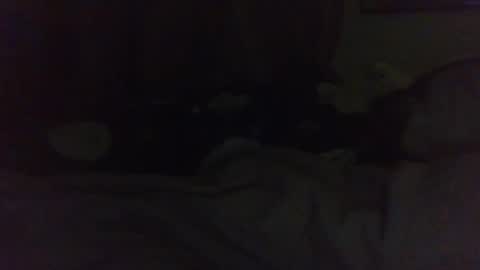 Snapshot of indigo_scorpio chatting on 22, 2, 2025 indigo_scorpio online show from 22, 2, 2025