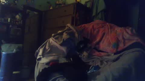 Snapshot of indigo_scorpio chatting on 24, 2, 2025 indigo_scorpio online show from 24, 2, 2025