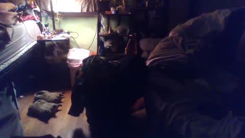 Snapshot of indigo_scorpio chatting on 4, 3, 2025 indigo_scorpio online show from 4, 3, 2025