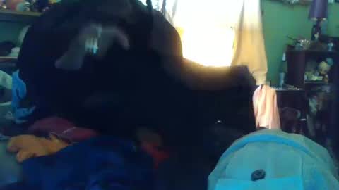 Snapshot of indigo_scorpio chatting on 13, 10, 2025 indigo_scorpio online show from 13, 10, 2025