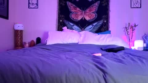 Indigo Bay online show from 14, 2, 2026