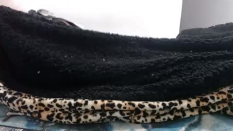 indr40ff online show from 25, 4, 2026