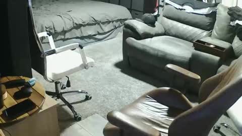 init2dentit online show from 20, 3, 2026