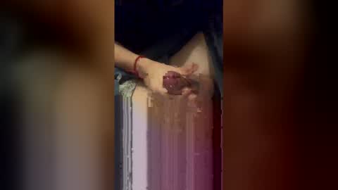 Innes online show from 6, 1, 2026