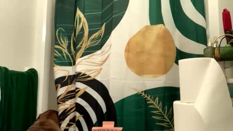 Snapshot of intothewoodswego chatting on 3, 4, 2026 IntoTheWoodsWeGo online show from 3, 4, 2026