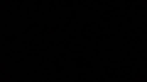 iridisit online show from 12, 1, 2026