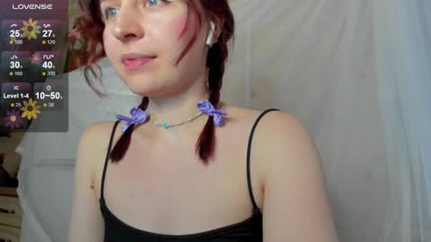 Iris online show from 14, 12, 2024