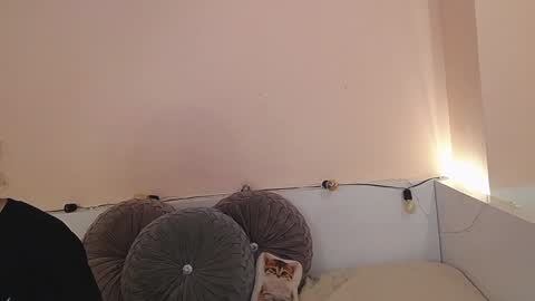 Snapshot of isabella__dark chatting on 21, 12, 2024 online show from 21, 12, 2024