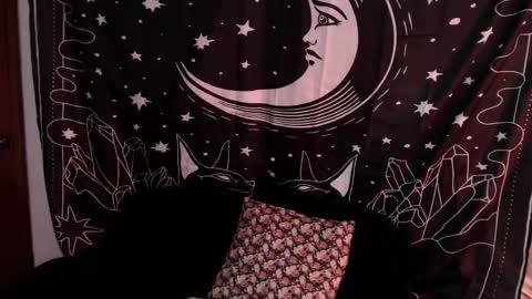 Snapshot of isabella__dark chatting on 7, 1, 2025 online show from 7, 1, 2025