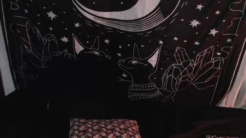 Snapshot of isabella__dark chatting on 8, 1, 2025 online show from 8, 1, 2025
