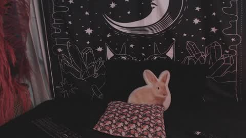 Snapshot of isabella__dark chatting on 29, 1, 2025 online show from 29, 1, 2025