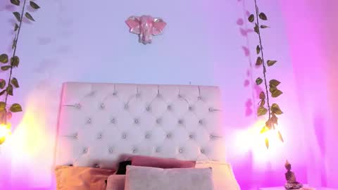   online show from 5, 11, 2025