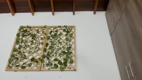 Isabella online show from 13, 2, 2025