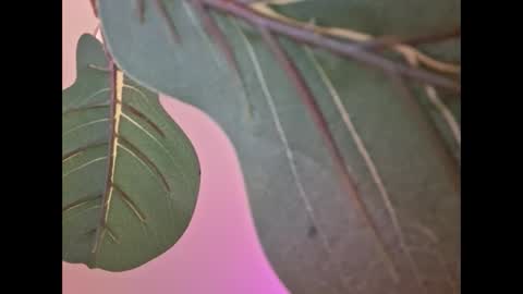 Isabella online show from 18, 9, 2025