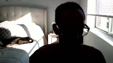 isjustd online show from 1, 11, 2025