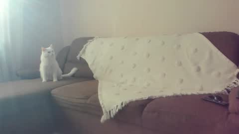 Issabelle online show from 30, 10, 2025