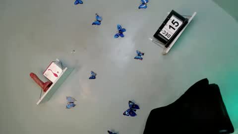 Bella online show from 15, 12, 2025