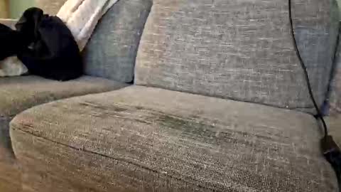 itsjeroen online show from 2, 11, 2025