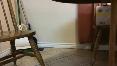 Snapshot of itsjustmehere chatting on 3, 5, 2026 itsjustmehere online show from 3, 5, 2026