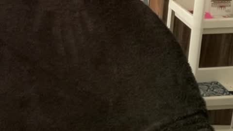 Snapshot of itsmylife021 chatting on 22, 10, 2025 Raje online show from 22, 10, 2025