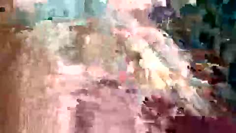 ivan2925 online show from 3, 2, 2026