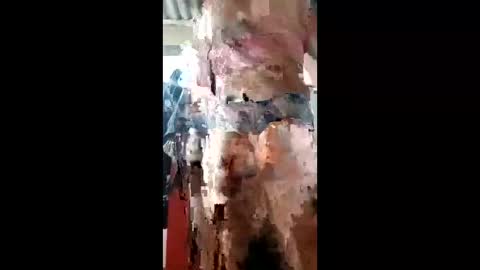 Snapshot of ivanaltrans62 chatting on 11, 1, 2026 ivanaltrans62 online show from 11, 1, 2026