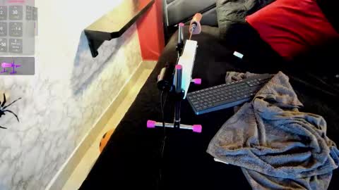 Ivis  online show from 21, 10, 2025