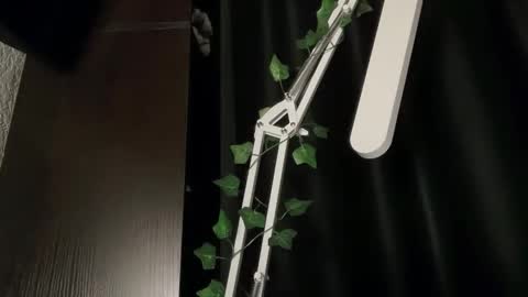 ivyvibe online show from 8, 2, 2026