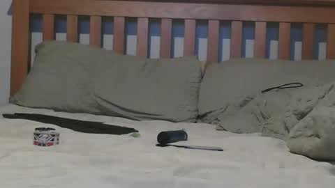 Snapshot of j281133 chatting on 4, 11, 2025 Big 8 online show from 4, 11, 2025