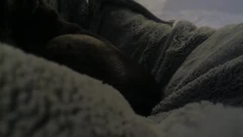 Snapshot of jackad44 chatting on 17, 10, 2025 jackad44 online show from 17, 10, 2025