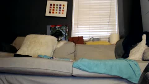 Jackie online show from 31, 10, 2025